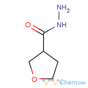 CAS No:59293-32-2 oxolane-3-carbohydrazide