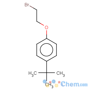 CAS No:5952-59-0 Benzene,1-(2-bromoethoxy)-4-(1,1-dimethylethyl)-