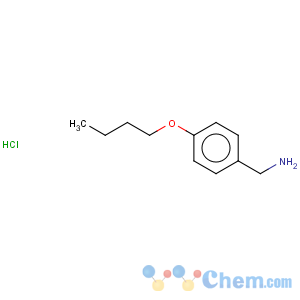 CAS No:59528-29-9 Benzenemethanamine,4-butoxy-, hydrochloride (1:1)