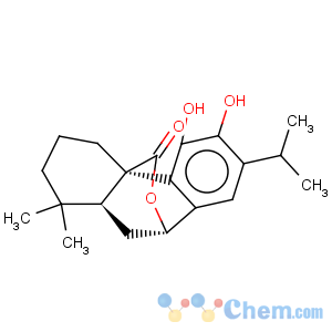 CAS No:5957-80-2 Carnosol