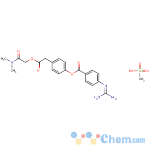 CAS No:59721-29-8 [4-[2-[2-(dimethylamino)-2-oxoethoxy]-2-oxoethyl]phenyl]<br />4-(diaminomethylideneamino)benzoate