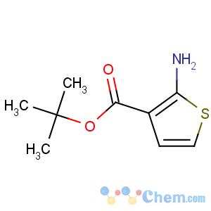 CAS No:59739-05-8 tert-butyl 2-aminothiophene-3-carboxylate
