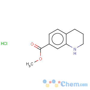 CAS No:597562-79-3 1,2,3,4-tetrahydro-quinoline-7-carboxylic acid methyl ester hydrochloride