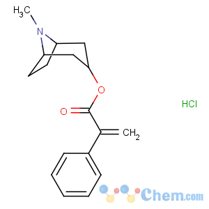 CAS No:5978-81-4 Benzeneacetic acid, a-methylene-,8-methyl-8-azabicyclo[3.2.1]oct-3-yl ester, hydrochloride, endo- (9CI)