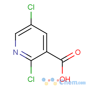 CAS No:59782-85-3 2,5-dichloropyridine-3-carboxylic acid