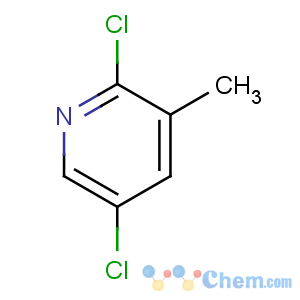 CAS No:59782-88-6 2,5-dichloro-3-methylpyridine