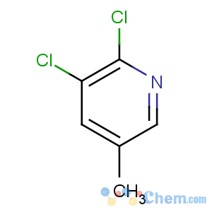 CAS No:59782-90-0 2,3-dichloro-5-methylpyridine