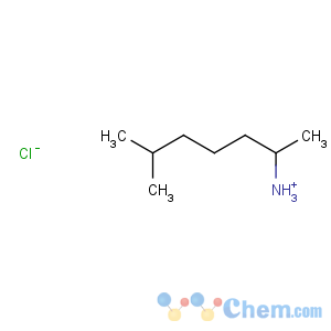 CAS No:5984-59-8 2-Heptanamine,6-methyl-, hydrochloride (1:1)