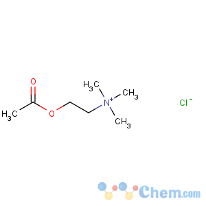 CAS No:60-31-1 2-acetyloxyethyl(trimethyl)azanium
