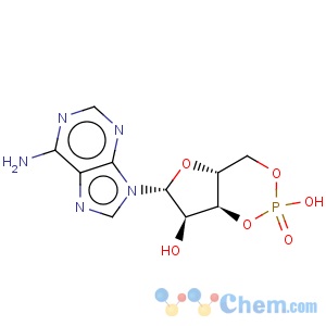 CAS No:60-92-4 Cyclic AMP