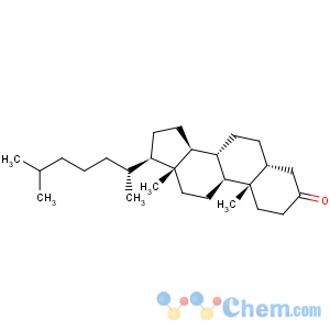 CAS No:601-53-6 Cholestan-3-one, (5b)-