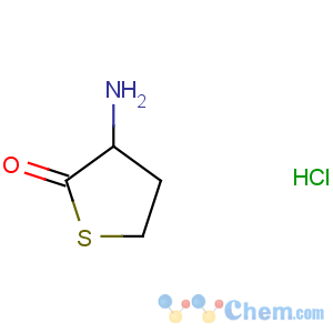 CAS No:6038-19-3 3-aminothiolan-2-one