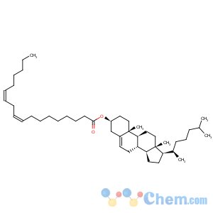 CAS No:604-33-1 Cholesteryl linoleate