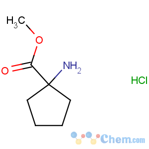 CAS No:60421-23-0 methyl 1-aminocyclopentane-1-carboxylate