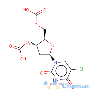 CAS No:6046-63-5 (5-Chloro-2'-deoxyuridine)