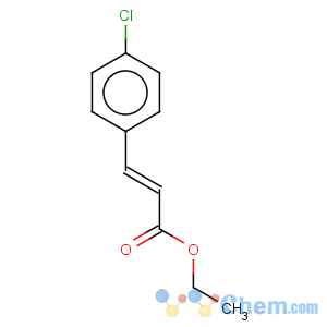 CAS No:6048-06-2 2-Propenoic acid,3-(4-chlorophenyl)-, ethyl ester