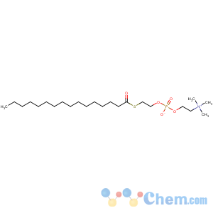 CAS No:60793-01-3 2-hexadecanoylthio-1-ethylphosphorylcholine