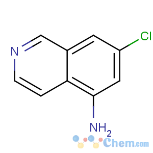 CAS No:608515-70-4 7-chloroisoquinolin-5-amine