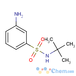 CAS No:608523-94-0 3-amino-N-tert-butylbenzenesulfonamide