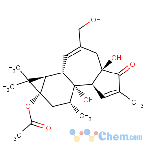 CAS No:60857-08-1 Prostratin