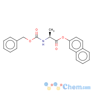 CAS No:60894-49-7 L-Alanine,N-[(phenylmethoxy)carbonyl]-, 2-naphthalenyl ester