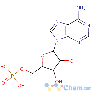 CAS No:61-19-8 [(2R,3S,4R,5R)-5-(6-aminopurin-9-yl)-3,4-dihydroxyoxolan-2-yl]methyl<br />dihydrogen phosphate