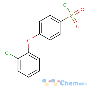 CAS No:610277-84-4 4-(2-chlorophenoxy)benzenesulfonyl chloride
