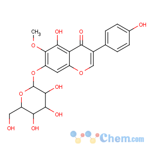CAS No:611-40-5 5-hydroxy-3-(4-hydroxyphenyl)-6-methoxy-7-[(2S,3R,4S,5S,6R)-3,4,<br />5-trihydroxy-6-(hydroxymethyl)oxan-2-yl]oxychromen-4-one