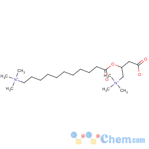 CAS No:61102-30-5 1-Undecanaminium,11-[1-(carboxymethyl)-2-(trimethylammonio)ethoxy]-N,N,N-trimethyl-11-oxo-,mono(inner salt), (R)- (9CI)