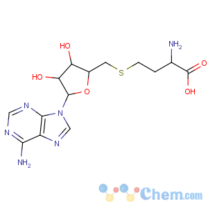 CAS No:61116-26-5 (2S)-2-amino-4-[[(2S,3S,4R,5R)-5-(6-aminopurin-9-yl)-3,<br />4-dihydroxyoxolan-2-yl]methylsulfanyl]butanoic acid