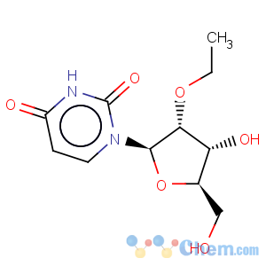 CAS No:61373-43-1 Uridine, 2'-O-ethyl-(9CI)