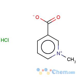 CAS No:6138-41-6 Trigonelline hydrochloride