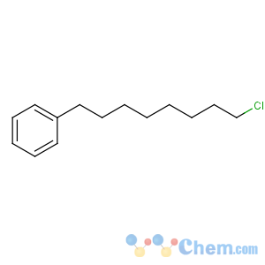 CAS No:61440-32-2 8-chlorooctylbenzene