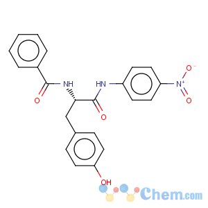 CAS No:6154-45-6 Benzenepropanamide, a-(benzoylamino)-4-hydroxy-N-(4-nitrophenyl)-,(aS)-