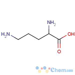CAS No:616-07-9 Ornithine
