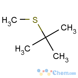 CAS No:6163-64-0 2-methyl-2-methylsulfanylpropane