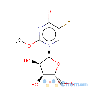 CAS No:61671-80-5 Uridine,5-fluoro-2'-O-methyl-