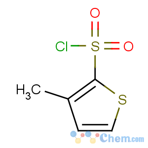 CAS No:61714-76-9 3-methylthiophene-2-sulfonyl chloride