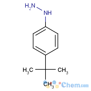 CAS No:61765-93-3 (4-tert-butylphenyl)hydrazine