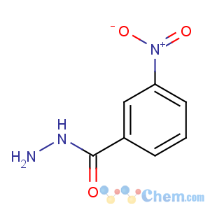 CAS No:618-94-0 3-nitrobenzohydrazide
