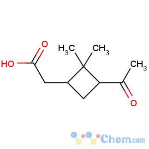 CAS No:61826-55-9 Cyclobutaneacetic acid,3-acetyl-2,2-dimethyl-, (1R,3R)-rel-