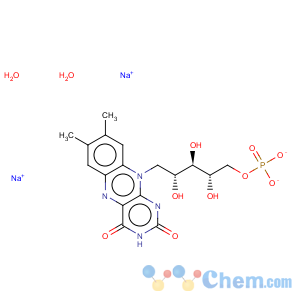 CAS No:6184-17-4 Riboflavin 5'-monophosphate sodium salt dihydrate