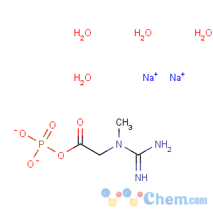 CAS No:6190-45-0 Creatine phosphate, disodium salt Phosphocreatine, disodium salt