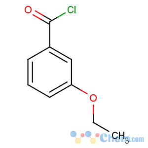 CAS No:61956-65-8 3-ethoxybenzoyl chloride