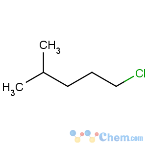 CAS No:62016-94-8 1-Chloro-4-methylpentane