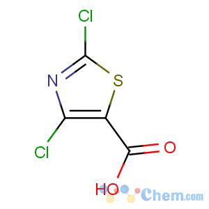 CAS No:62019-56-1 2,4-dichloro-1,3-thiazole-5-carboxylic acid