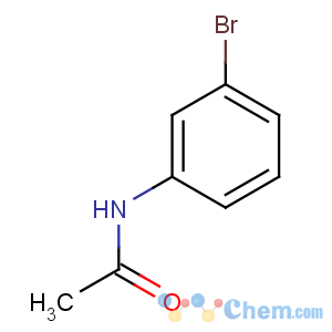 CAS No:621-38-5 N-(3-bromophenyl)acetamide