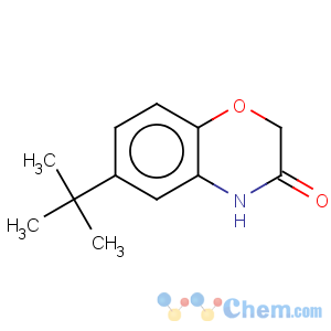CAS No:6238-96-6 2H-1,4-Benzoxazin-3(4H)-one,6-(1,1-dimethylethyl)-