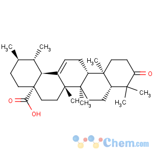 CAS No:6246-46-4 3-Oxours-12-en-28-oic acid