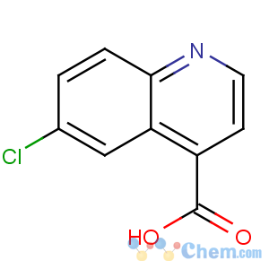 CAS No:62482-29-5 6-chloroquinoline-4-carboxylic acid